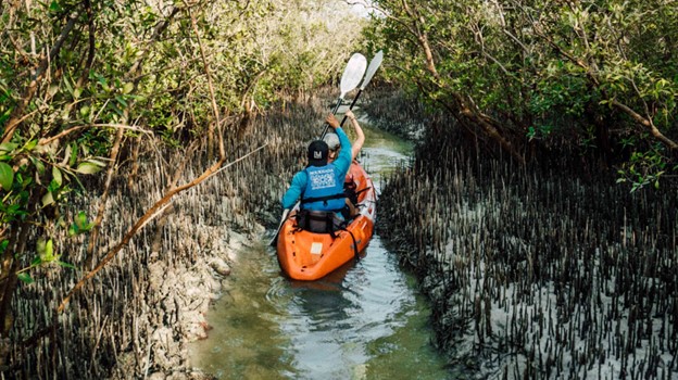 Kayaking | Water Sports and Activities | Experience Abu Dhabi